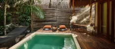Palapa-roofed room with a wooden deck and private pool, fringed by tropical jungle greenery