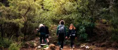 Group in active wear and rucksacks walk through a leafy forest