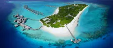 Tropical island in the Maldives, with a tropical interior, bright white sands, turquoise shallows and lines of overwater villas