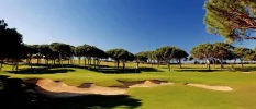 Golf greens lined with trees under a bright blue sky