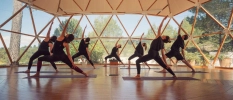Group in active black wear practicing a warrior yoga pose