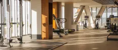 Gym with bikes, a weight machine and rower, and floor-to-ceiling windows