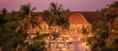 Stepped terraces down to the beach, cloaked in palm trees and shrubs, with tables and chairs covering the terraces and thatched rooftops in the background
