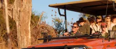Group in camo attire and sunglasses in a red truck in the African wilderness