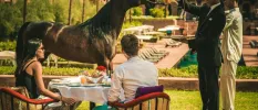 Staff demonstrating with an Arabian horse while a couple enjoy a meal and watch on