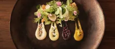 Plate of salad with edible pink flowers and gourmet sauces