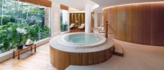 Indoor small jacuzzi overlooking lovely exotic garden