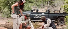Male and female in camo safari attire look down at the ground as a game drive professional shows them something