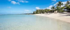 White sandy beach with palm trees and clear shallow waters, under a blue sky with white clouds
