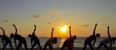Silhouette of a group enjoying sunset yoga by the water
