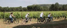 Group of four cycling in the sunny countryside under a blue sky 