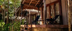 Palapa-roofed hut with a wood-decked terrace and steps leading into the jungle