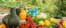 Ceramic jugs next to lemons, vine tomatoes and squash in an outdoor setting