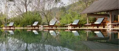 Swimming pool lined with white loungers and surrounded by greenery