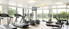Treadmills and exercise bikes lined up in rows in a bright gym, with full-length windows overlooking a garden