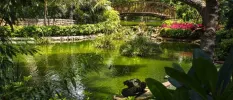 Lake surrounded by tropical blooms and greenery and criss-crossed by a wooden bridge