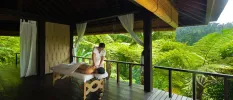 Woman in white massaging a guest on a bed, in an open-air treatment cabin surrounded by tropical jungle