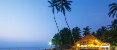 Wooden open-sided pavilion lit up at night with a view of the ocean and tall palms 