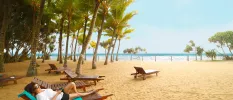 Guest relaxes on a wooden lounger on a golden beach scattered with greenery
