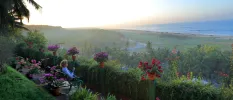 Woman in a blue sports jacket sits on a bench looking out over tropical gardens and the ocean