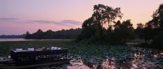 Wooden boat with a purpose-built table setting inside it, floating in a lily pad pond among coconut groves