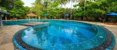 Curvy pool in a terrace surrounded by tropical gardens and blue parasols