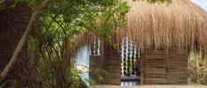 Thatched-roof wooden hut surrounded by tropical greenery