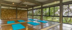 Yoga sala set up for a class with blue mats, wooden ceiling beams and floor-to-ceiling windows