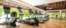 Treadmills and bikes lined up in a gym with wooden flooring, floor-to-ceiling windows and tropical garden views