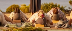 Group of people in light clothing lying down on cushions on a wooden platform in the sunshine as an instructor stands above them