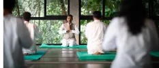 Group in white sit with their hands clasped in prayer on green yoga mats in a wooden studio