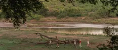 Line of people walk through the African wilderness