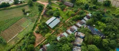 Aerial view if Ayurvie Sigiriya, paddy fields and greenery speckled with thatched-roof buildings