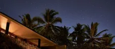 Palm trees under a dark starry sky next to a warmly lit stone-walled terrace