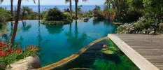 Infinity pool surrounded by tropical gardens and a wooden jetty