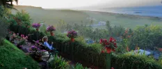 Woman sits on a bench on a terrace surrounded by tropical greenery, overlooking a misty beach and ocean