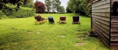 Four deck chairs on a grassy lawn, surrounded by trees and shrubs