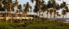 Tiled-roof low-rise buildings nestled among palm trees and greenery overlooking the sea