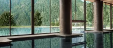 Swimming pool with indoor and outdoor sections separated by floor-to-ceiling glass and with a view of a thick forest