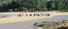 Group practice yoga on a sunny outcrop next to a lake and surrounded by tropical greenery