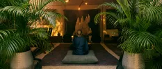 Female in a silk robe sits on an oversized floor cushion in a softly lit room, with two potted palms behind her