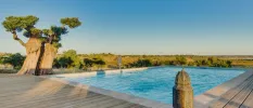 Rectangular pool in a wooden terrace, next to trees and under a blue sky