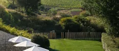 Grassy lawn in front of a row of white umbrellas, with a wooden gate that opens onto the Spanish countryside