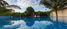 Swimming pool surrounded by palm trees and bushes under a blue sky with white clouds