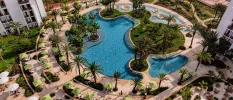 Aerial view of a swimming pool surrounded by palm trees and shrubs, loungers and sunbeds