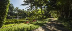 Tropical gardens and a pathway next to a lake with a water fountain at the centre