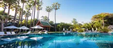 Large turquoise swimming pool surrounded by white parasols and loungers, tall palms and tropical greenery under a blue sky