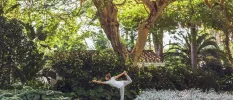 Woman in grey active wear practices yoga in a tropical garden