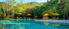 Outdoor pool surrounded by trees, yellow umbrellas and yellow-cushioned loungers