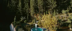 Man appears to stand on water in a small pool surrounded by forest, thanks to the pool's shallow depth and reflectiveness